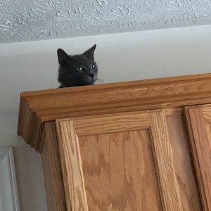 Meet your Posher, Kristy